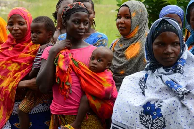 DSC_9451 (Large).JPG